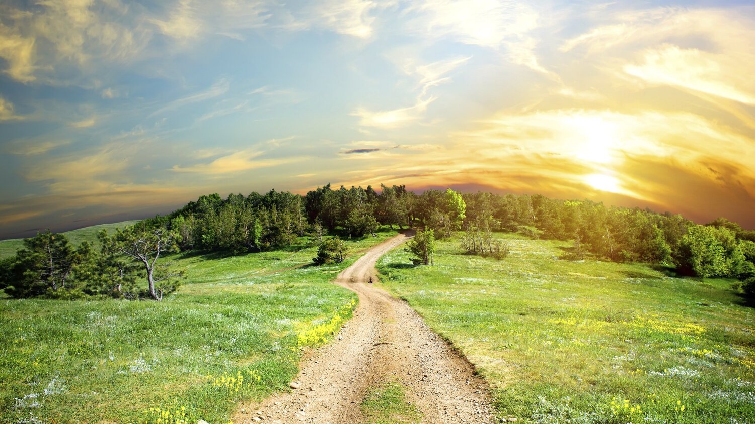 Create a journey of Peace